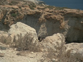 Remington Steele-  Maltese Steel