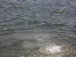 Remington Steele -  Steel At It