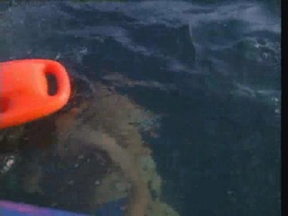 Baywatch : If Looks Could Kill