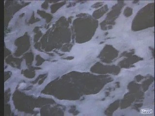 Baywatch : Panic at Malibu Pier