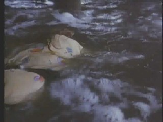 Baywatch : Panic at Malibu Pier