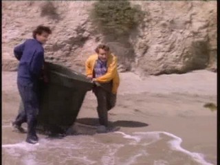 Baywatch : The Reunion