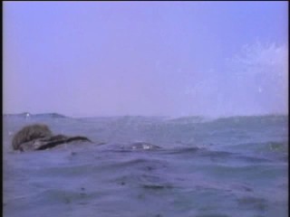 Baywatch : The Trophy