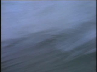 Baywatch : The Trophy