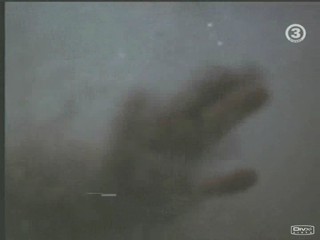 An American Werewolf in Paris