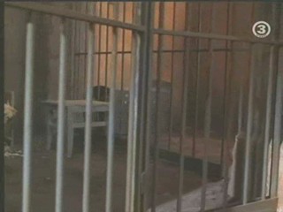 An American Werewolf in Paris