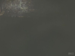 Remington Steele Puzzled Steele