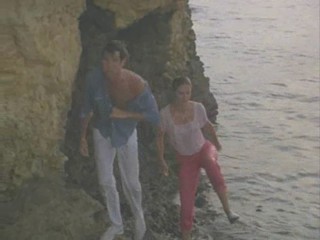 Remington Steele Puzzled Steele