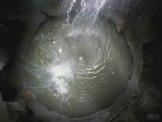 The Lost World - More than human