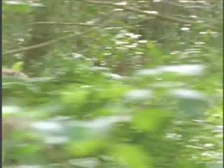 The Lost World - The Beast Within