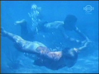 Beneath the 12-Mile Reef