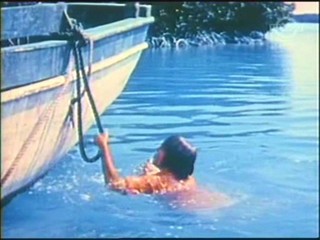 Beneath the 12-Mile Reef