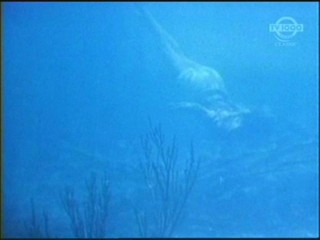 Beneath the 12-Mile Reef