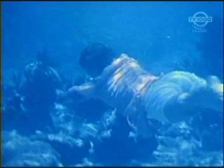 Beneath the 12-Mile Reef