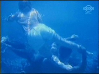 Beneath the 12-Mile Reef