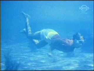 Beneath the 12-Mile Reef