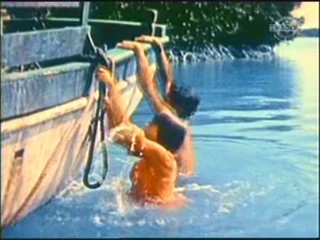 Beneath the 12-Mile Reef