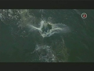 Me, Myself and Irene