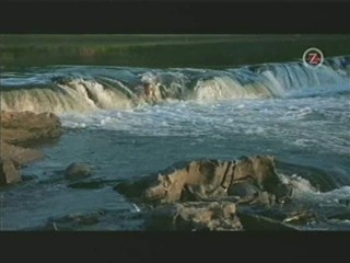 Me, Myself and Irene