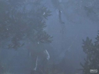 The Lost World - Stone Cold