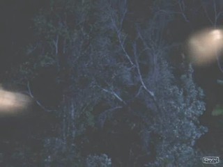 The Lost World - Stone Cold