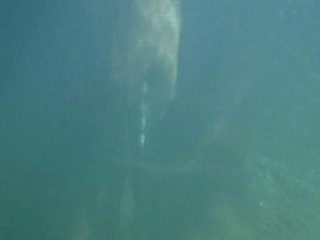 The Lost World - The Pirates' Curse