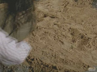 The Lost World - The Pirates' Curse