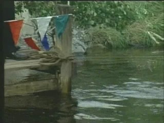 BrÃ¸drene Dal og Professor DrÃ¸vels Hemmlighet