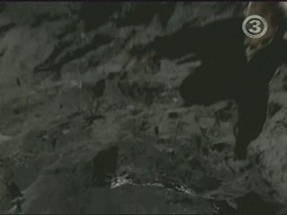 George of the Jungle