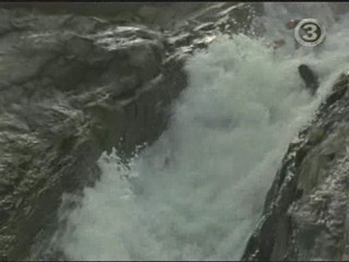 George of the Jungle