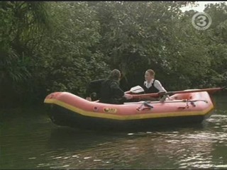 George of the Jungle