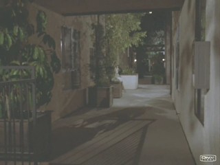 Remington Steele - Cofee, Tea or Steele