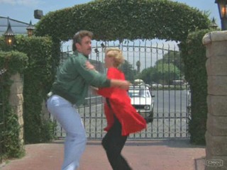 Remington Steele - Grappling Steele