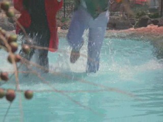 Remington Steele - Grappling Steele