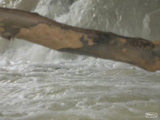 Remington Steele The Steel That Wouldn`t Die