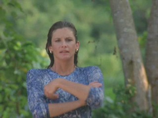 Remington Steele The Steel That Wouldn`t Die