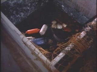 Baywatch - The Falcon Manifesto