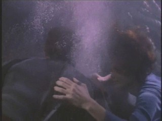 Baywatch - The Falcon Manifesto