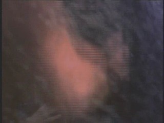 Baywatch - The Falcon Manifesto