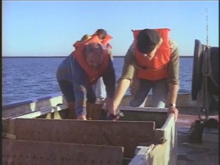 Baywatch - The Falcon Manifesto