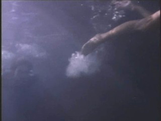 Baywatch - The Falcon Manifesto