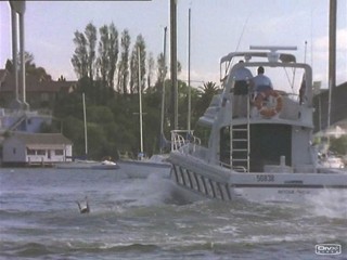 Water Rats - Stolen Time