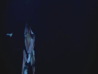 The Legend of Evil Lake