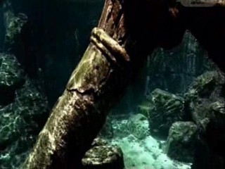 Beauty on the fire video clip