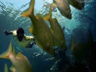 Beauty on the fire video clip