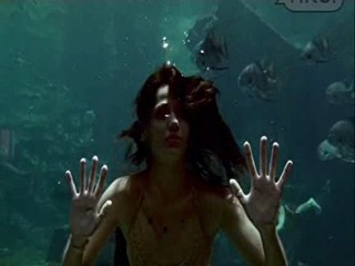 Beauty on the fire video clip