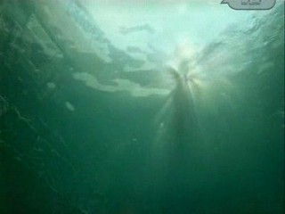 Beauty on the fire video clip