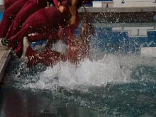 Ace Ventura  Pet Detective Jr.