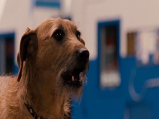 Ace Ventura  Pet Detective Jr.