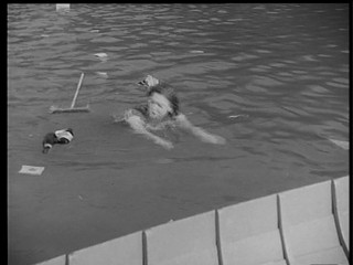 Eva erbt das Paradies... ein Abenteuer im Salzkammergut 